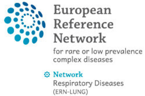 Logo ERN 